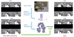 Learning Dexterous Manipulation from Human Video Demonstrations with 3D Point Tracks